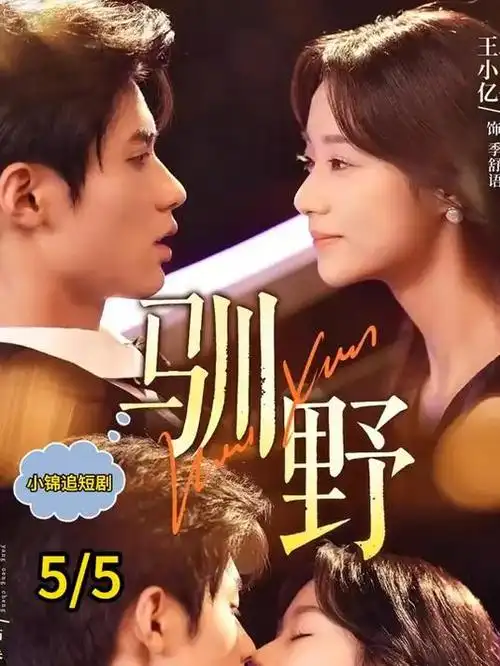 88影视剧集山海拾光封面